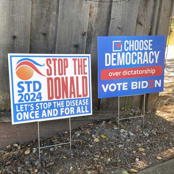 Choose Democracy over Dictatorship Yard Sign